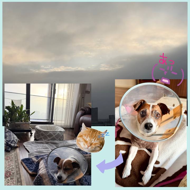 794da9a2 0ea4 4551 be94 729c22a6109e 1765928859344