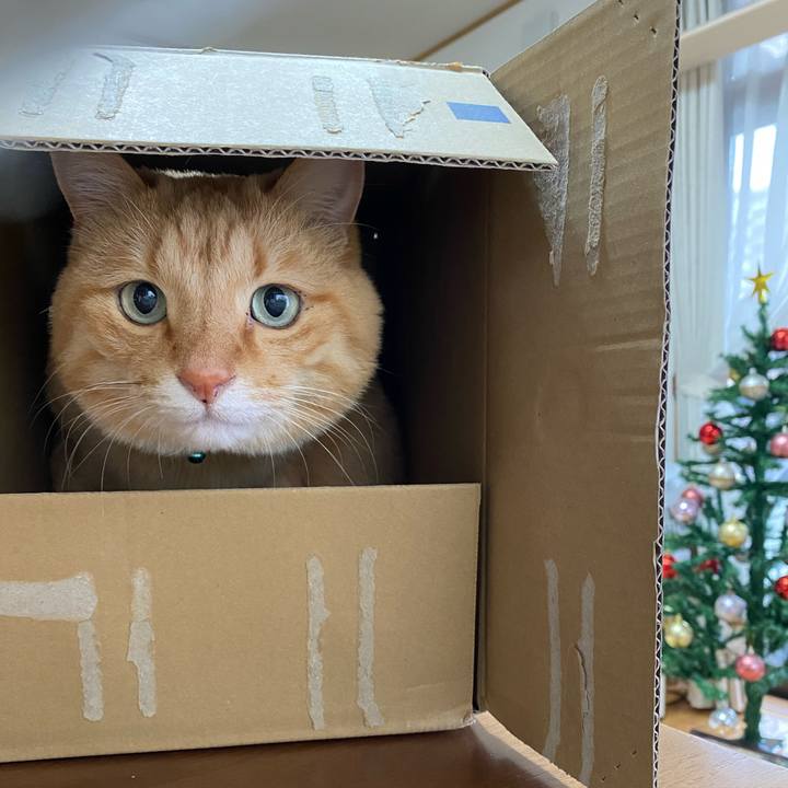 794dd777 e2d6 48bf 8588 b70622811624 1639190531187