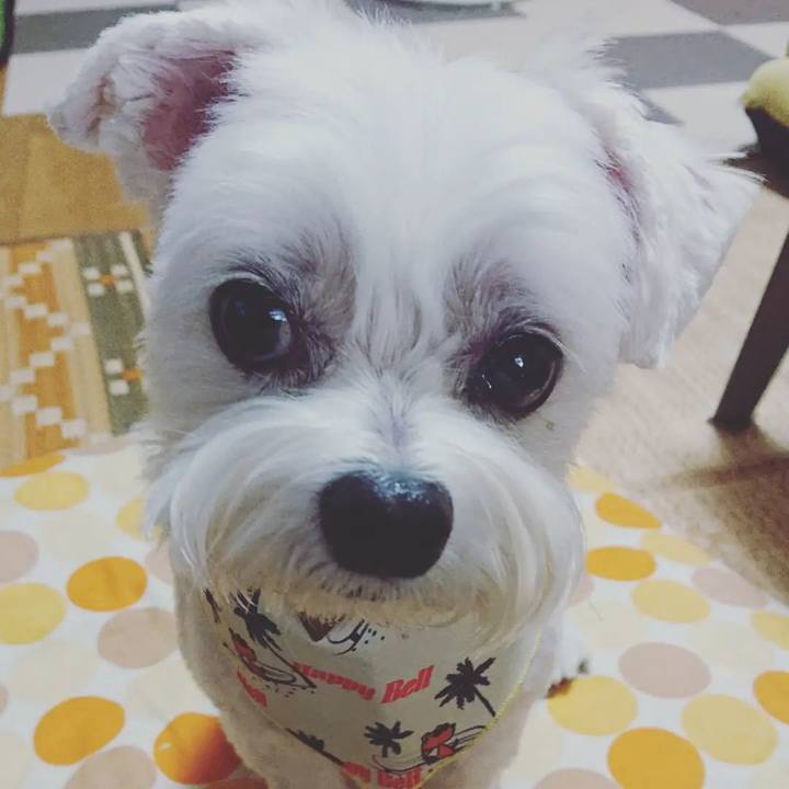 794dd9c8 131d 4d28 83bf 2c747c6b96a3 1629103269775