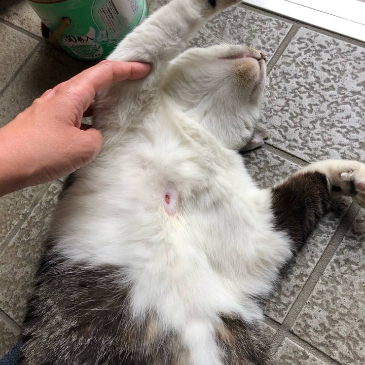 794de2c7 7351 409c 962e f820bd2d7589 1591957778391