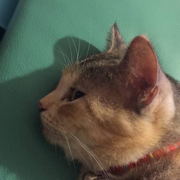 794e7cb2 0fdc 4f68 b51c 6cb76033e0fb 1567784340630