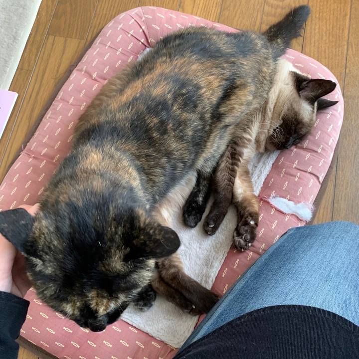 794e81d4 2dd4 4445 82e4 13a2480d951a 1649046020352