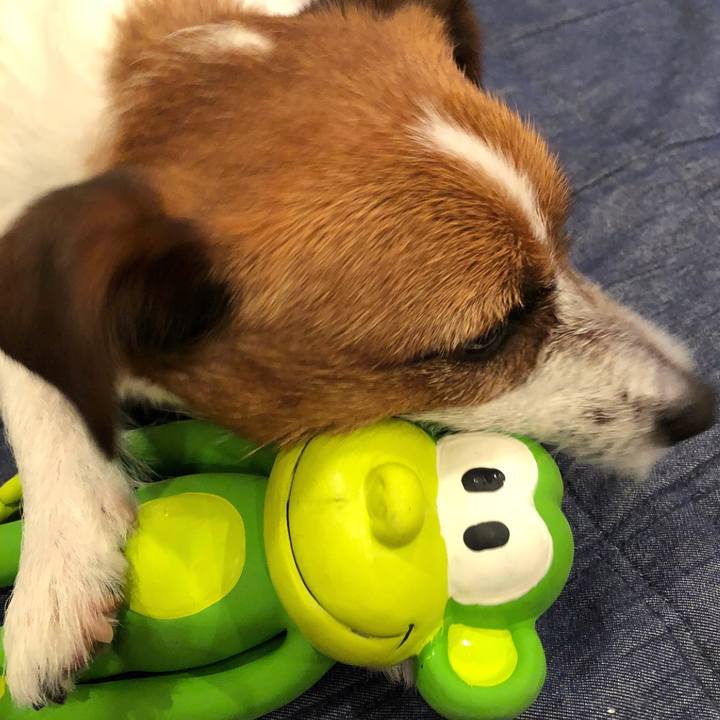 794e93ba 12ef 41d3 9044 dcb88c802a59 1517485905430