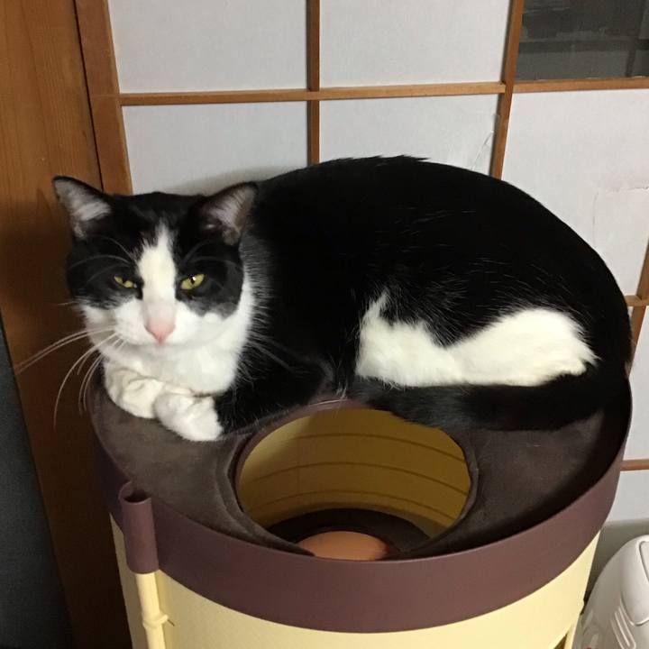 794ecbeb 3fc9 4c9c a149 f11e41227696 1673960337028