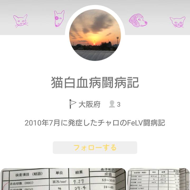 794f38d3 3679 44bb 8450 d33817769f03 1543042678420