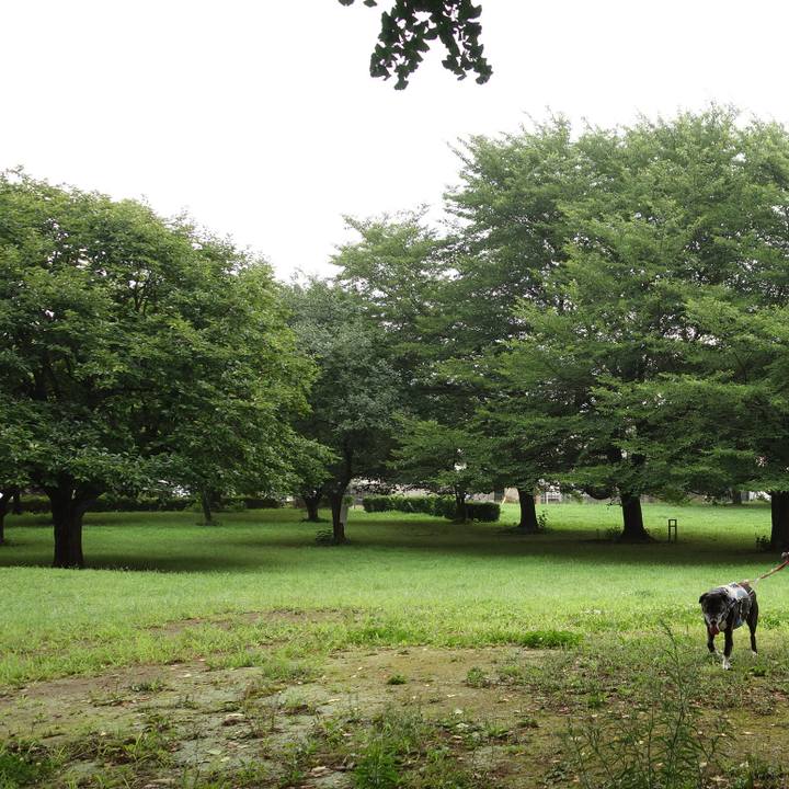 794f4a86 ee6d 4dda b4f4 d733d3d5bfc2 1751932649821