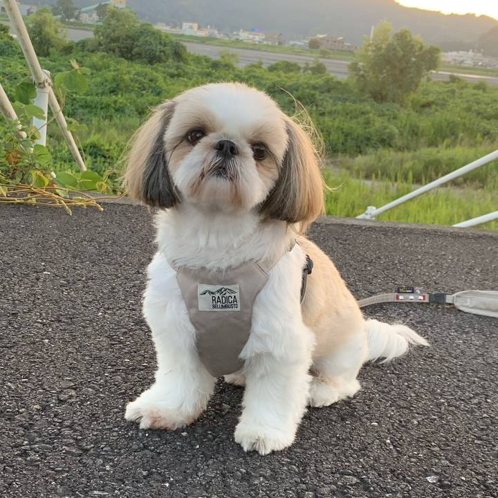 794f511e c09b 4629 8292 7655cfb6f63e 1696156850052