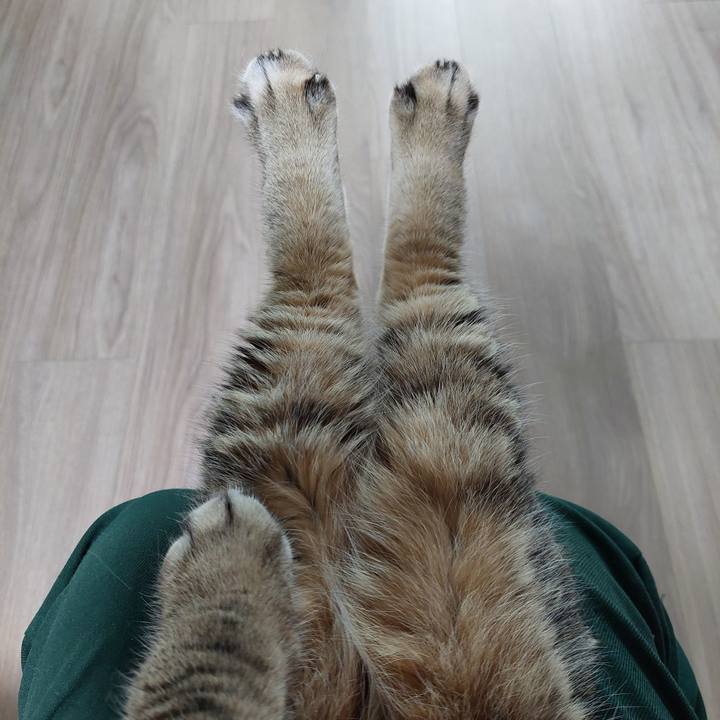 794f5496 b0d9 42ae a5f6 f78279bfd62d 1759404216307