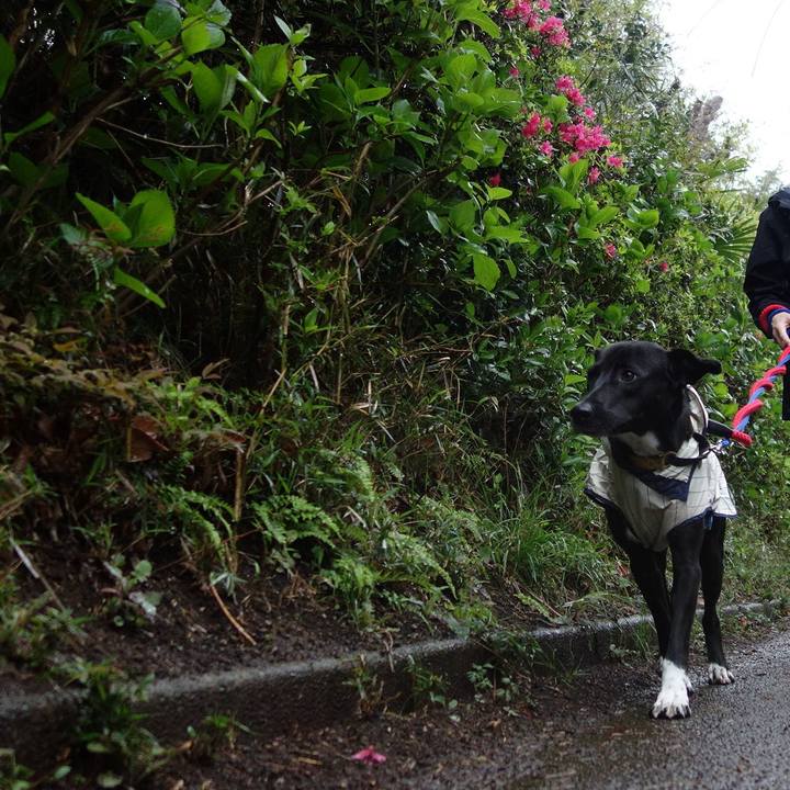 794fb8c3 2010 4c1e b3a7 0f4b2c6cc7f0 1586735432670