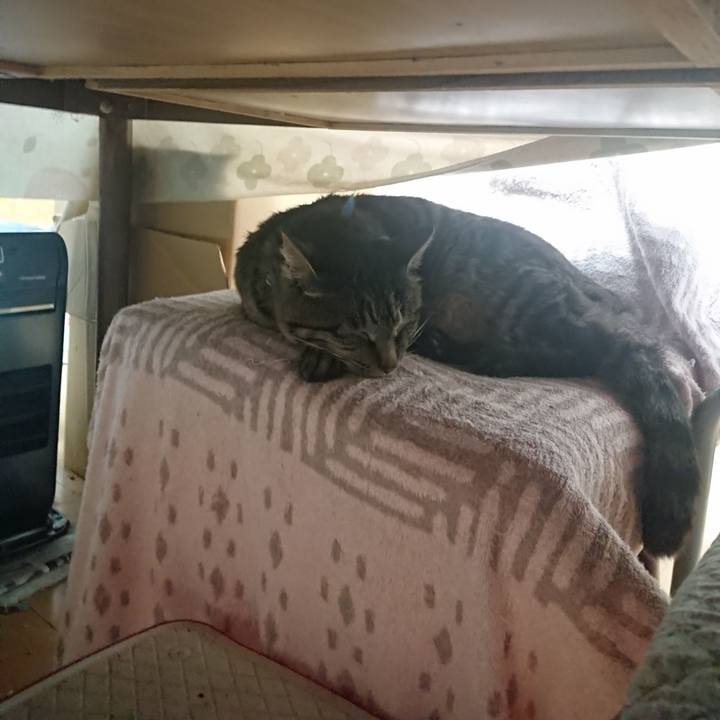 794fd457 33b6 4253 871e 9779b498cd4f 1654478972615