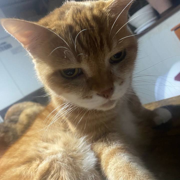 794fd74c ab31 4f07 99ec 217038bcb421 1763386362201