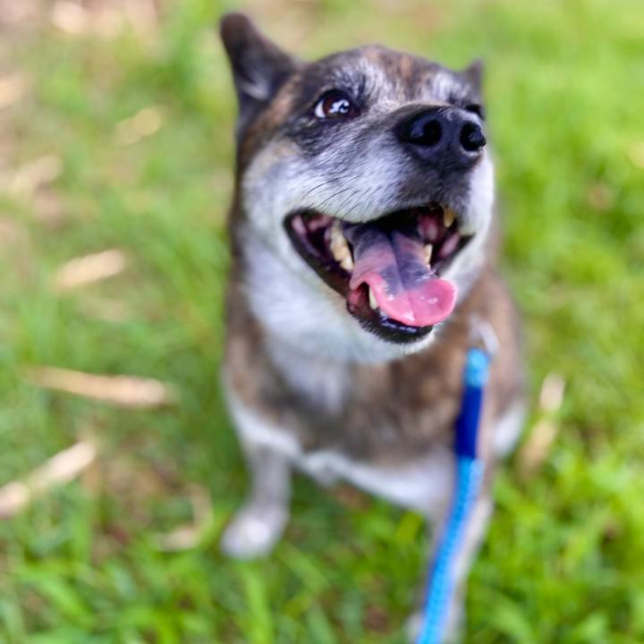 794ff606 58d2 4d82 9219 155489592596 1661417405289