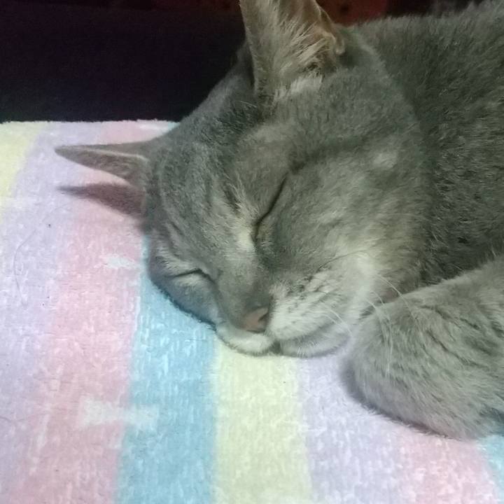 79500864 9779 40a8 b54c 019540bae70e 1685627694990