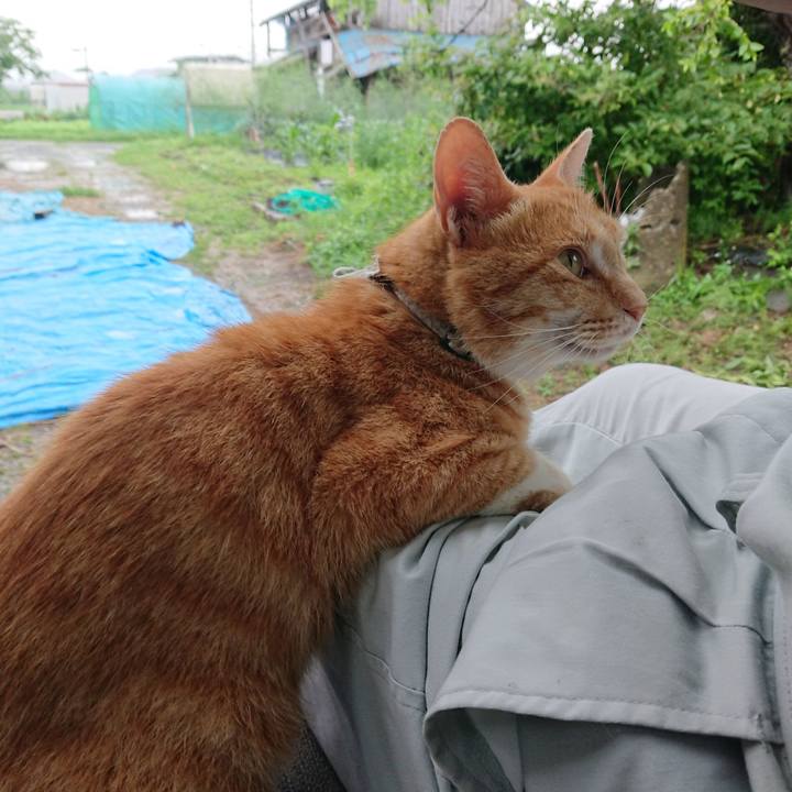 7950300c 38b4 41b3 b033 1066fd8e60f0 1594024780054