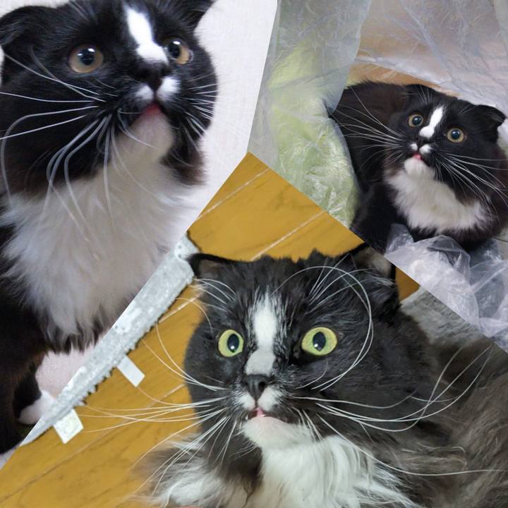 795032c2 c0a6 4c36 9199 c5d33abaf95b 1701765078790