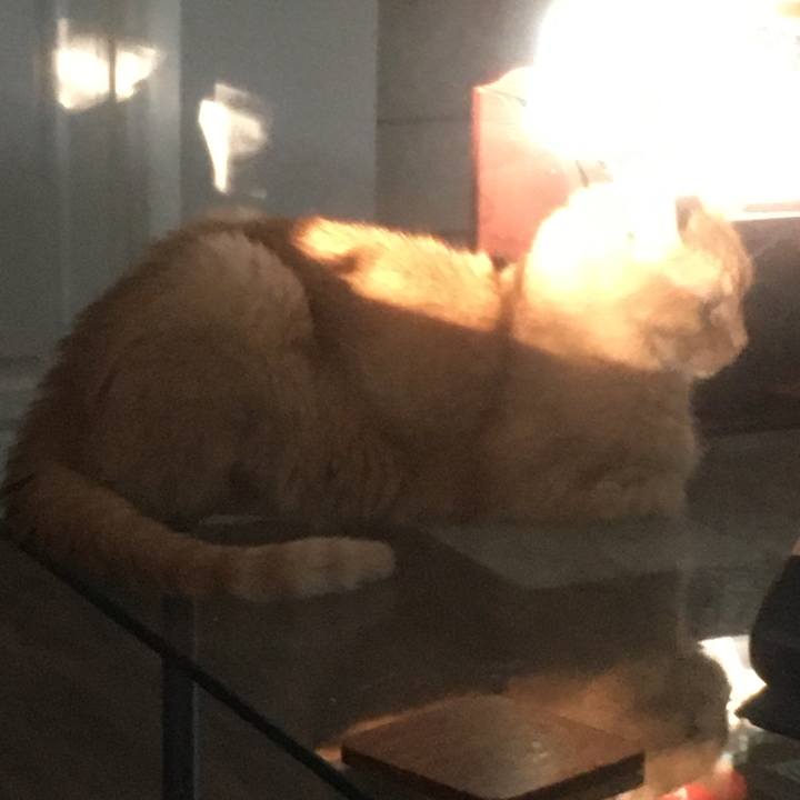 79505e69 e92f 4552 927f b1216915919a 1657588946883