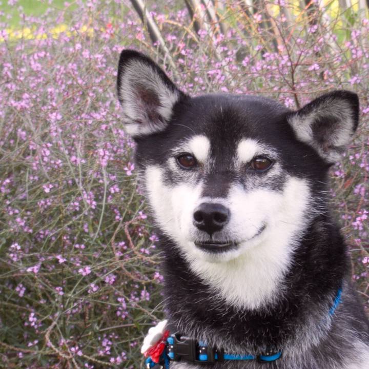 7950799c 069d 4302 94e5 c999f7b9d211 1599434826054