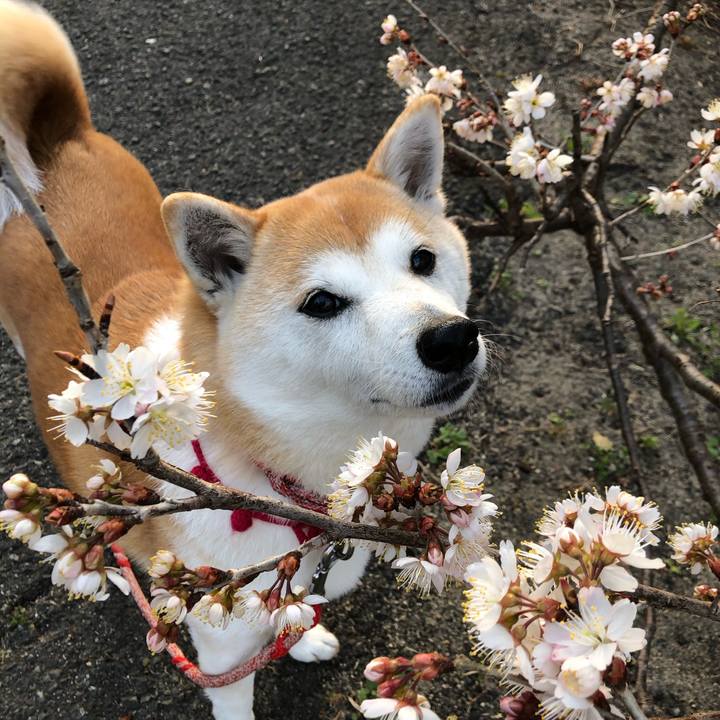 79514010 983a 42ee 9155 4fc4a33b6eb4 1678789039213