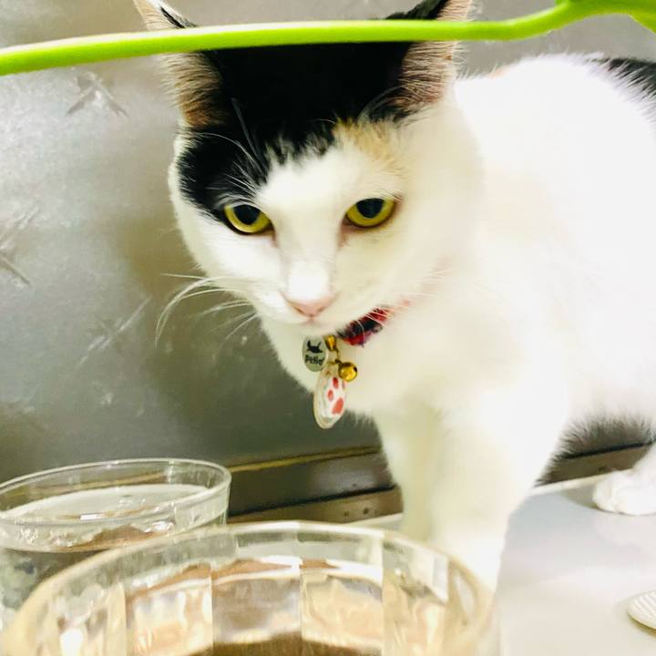 79516ab5 7043 4482 bcdb 6e35f3c6a888 1715615316516