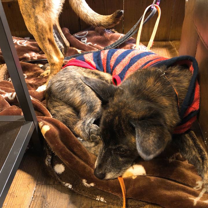 795198c1 4f00 4e75 9ca0 0bc3414a1799 1579422234396