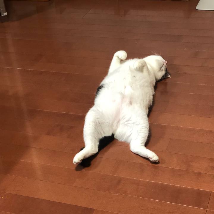 7951b3de 055a 41e6 a415 3c8f9223853a 1533268739976