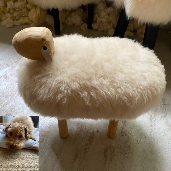 7951b4d5 3967 415c 9e64 6d7d53a4e109 1629671578930