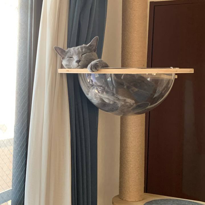 7951b7e2 7e3b 4bd5 a390 aa3d77e42af7 1625981703186