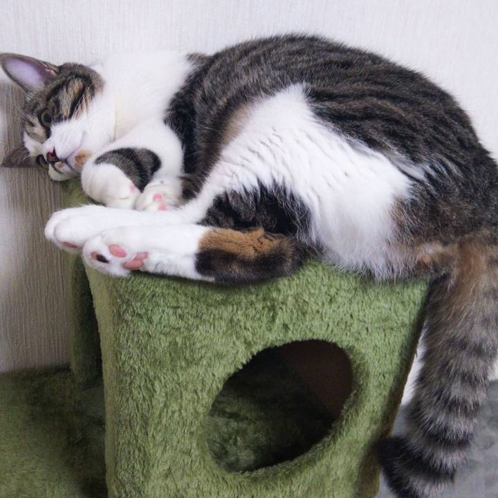 7951e0fe 8bc1 4893 8d37 6bf067866a6d 1627216936874