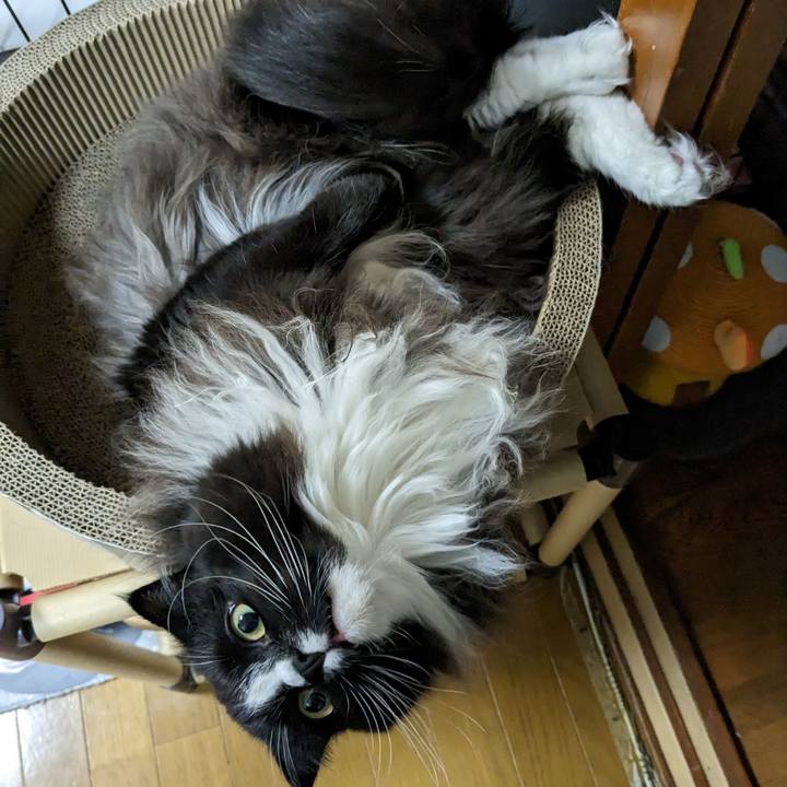 7951ee1a 47a6 440b bbda 58880214dcaf 1672237404059