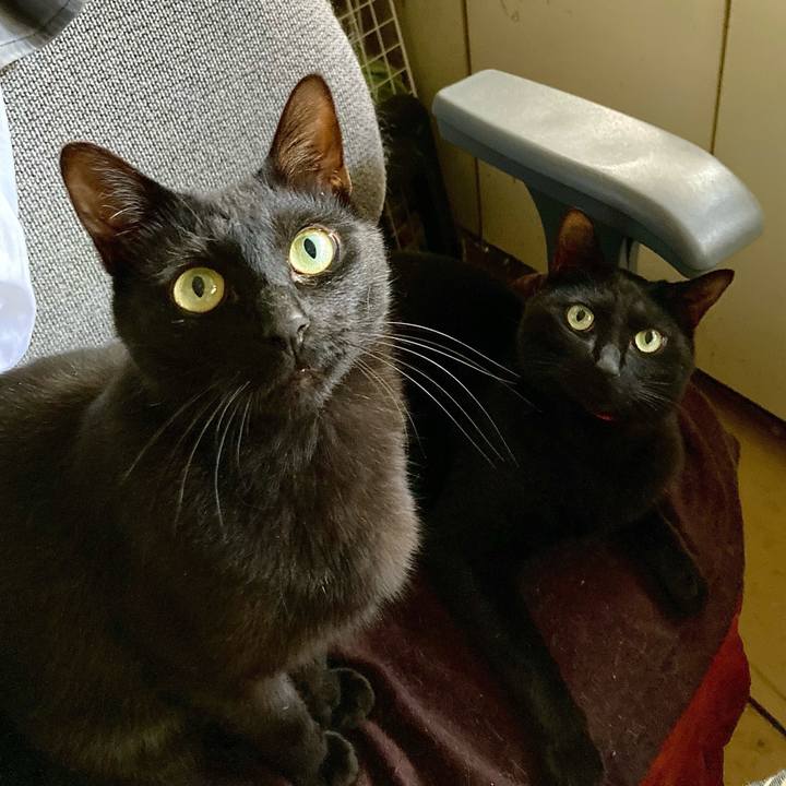 7952019f ffc1 4c23 9653 bc8870639fe2 1715236928820