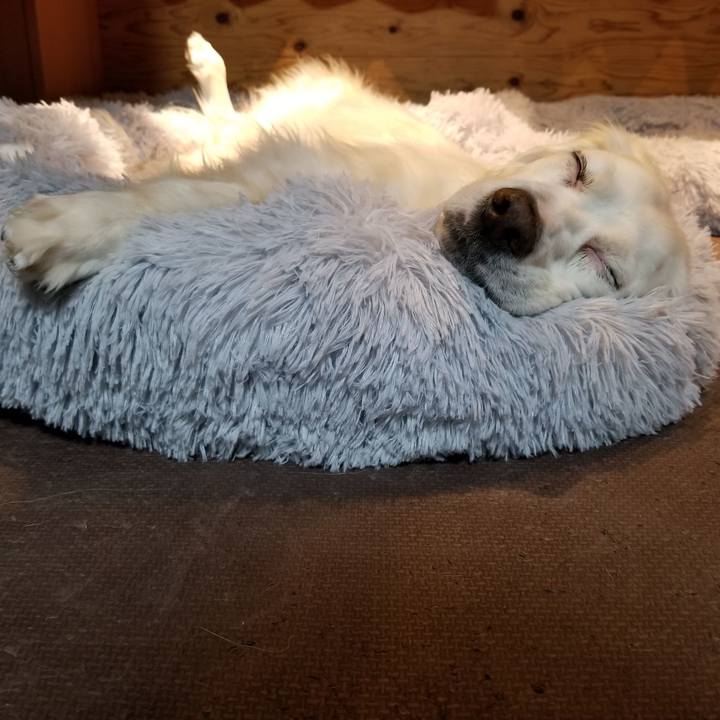 7952330c 2a9f 4203 84db d5c113eac8d1 1611410695887