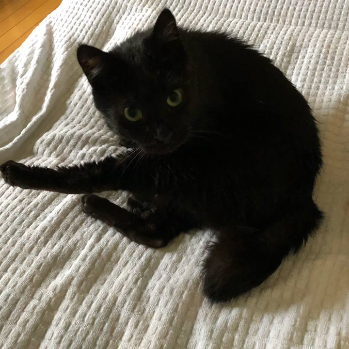 795316ef de9d 4f98 97c6 aa21db89185f 1565644242571