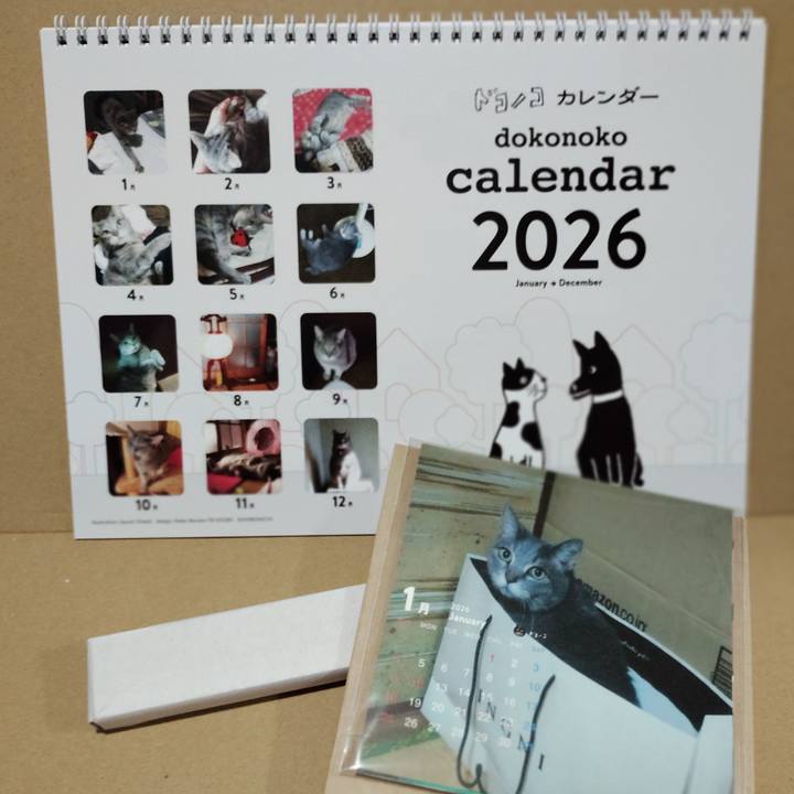 79532707 e560 4c63 86e8 6d455387348b 1765594233855