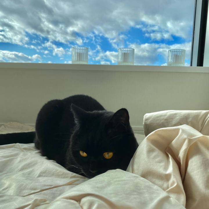 795335d2 50f7 4ce4 a5b6 98299bce4c38 1608693283896