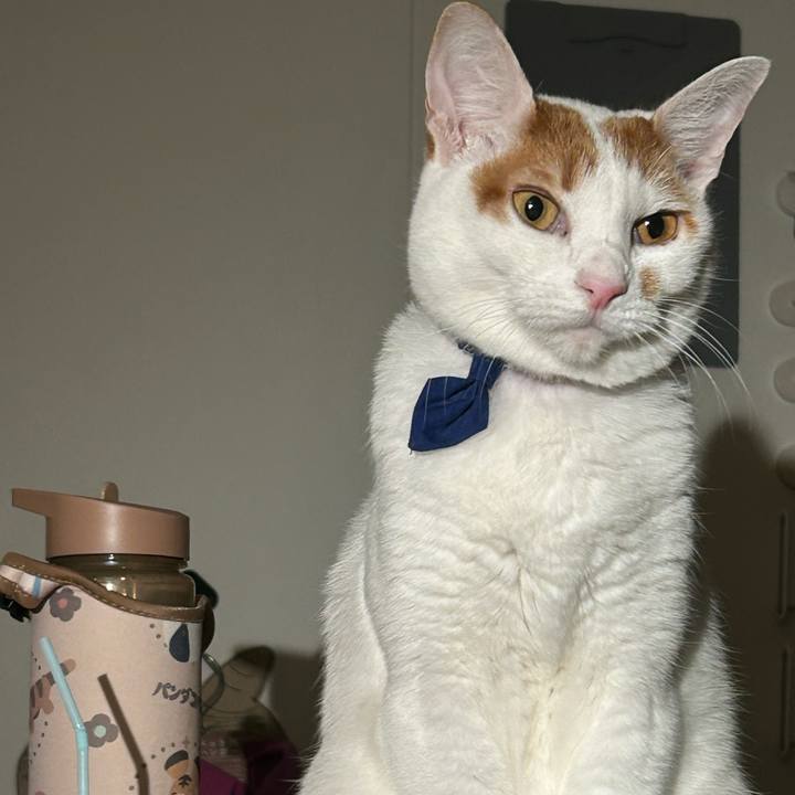 79533c97 06eb 4111 ad83 d96b39ae2745 1761666698071