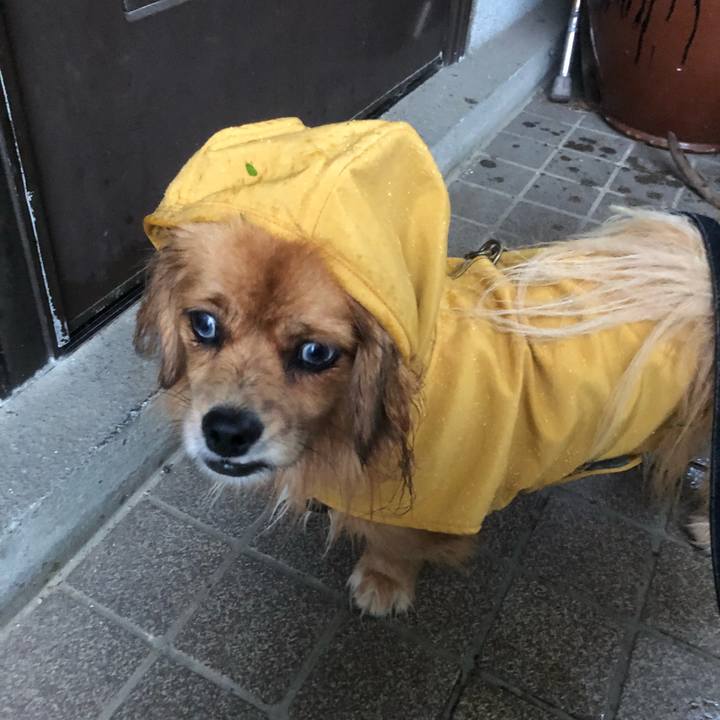 795350d4 210d 4e37 ad10 0e6e9cf31b1f 1537997443732