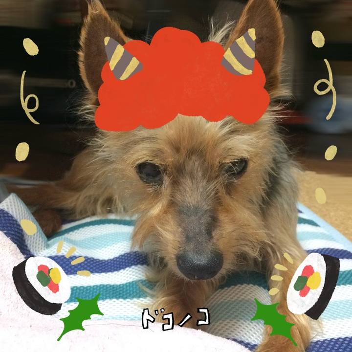 79536456 d35d 4952 9e46 4dd268336d06 1706794040622