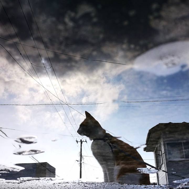 79536f25 e1c4 4ec0 8420 edf6fd63a5a1 1517734045079