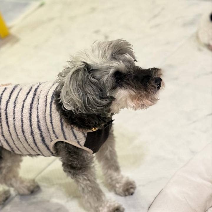 79539602 b877 4605 b380 666dcf264613 1765625323085