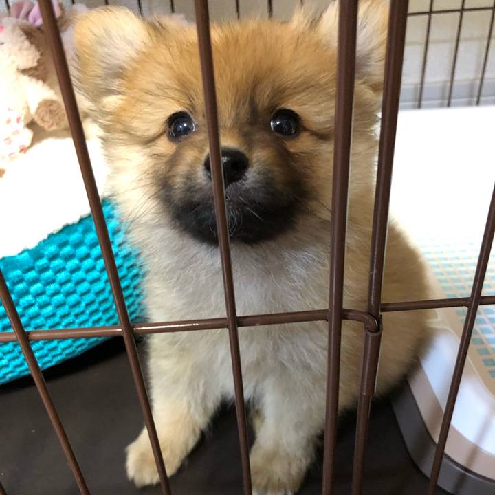 7953976b 43a3 48e1 a8a9 be2047dc043d 1572904788333