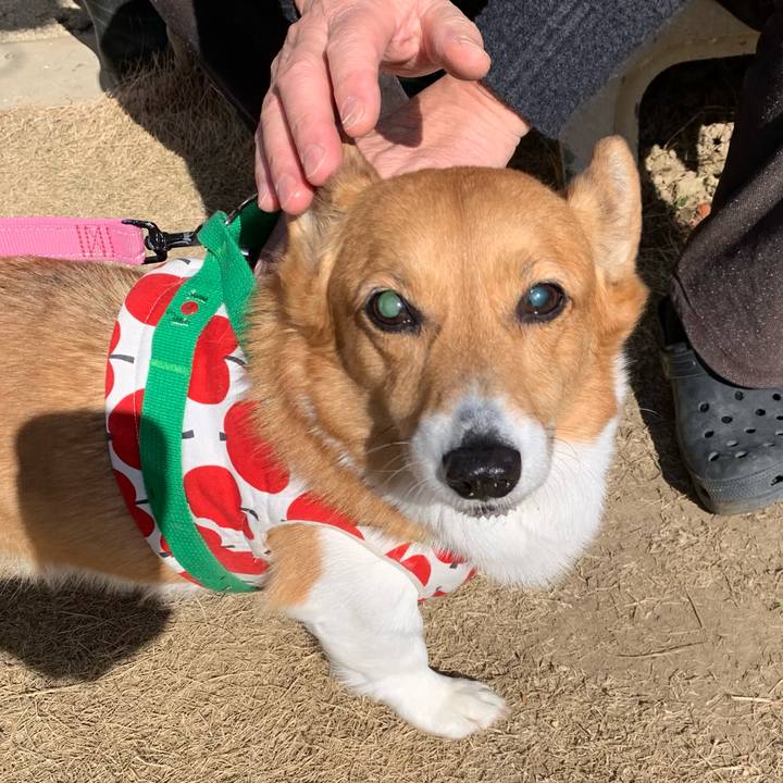 7953bcae ba09 4198 81b8 3cce5029e039 1706676901942