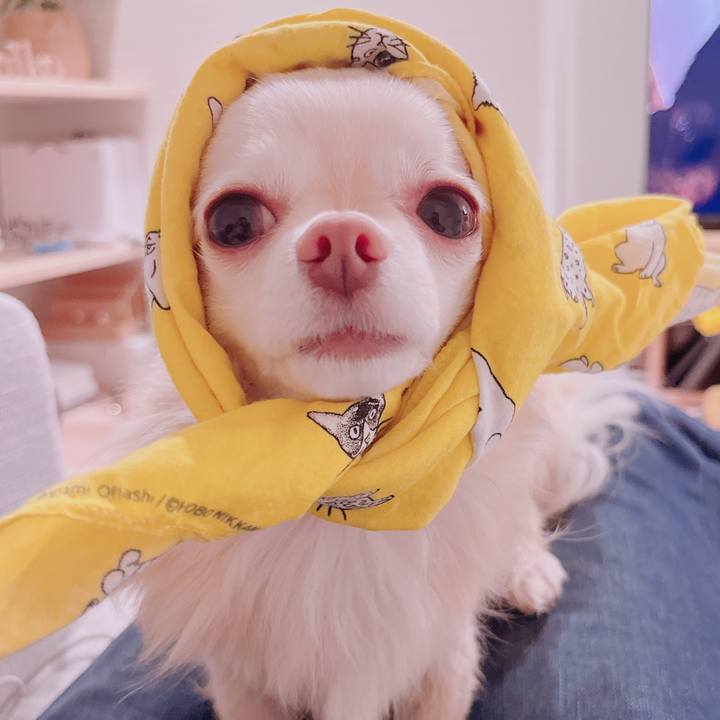 7953faed a355 4e33 9f32 2e6d3b2d97dc 1683894627244