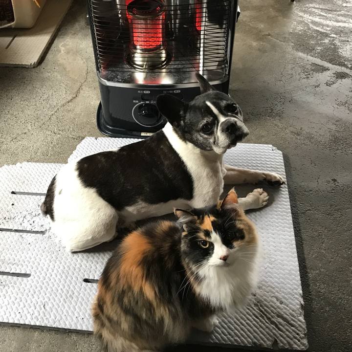 7953fe9c 2d6c 4ab3 b473 dd88393a06c4 1584621039874