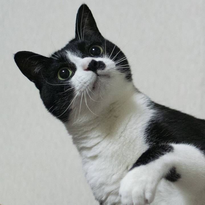 79541270 5329 4d9a a12d 3120eaab34ad 1556072592682