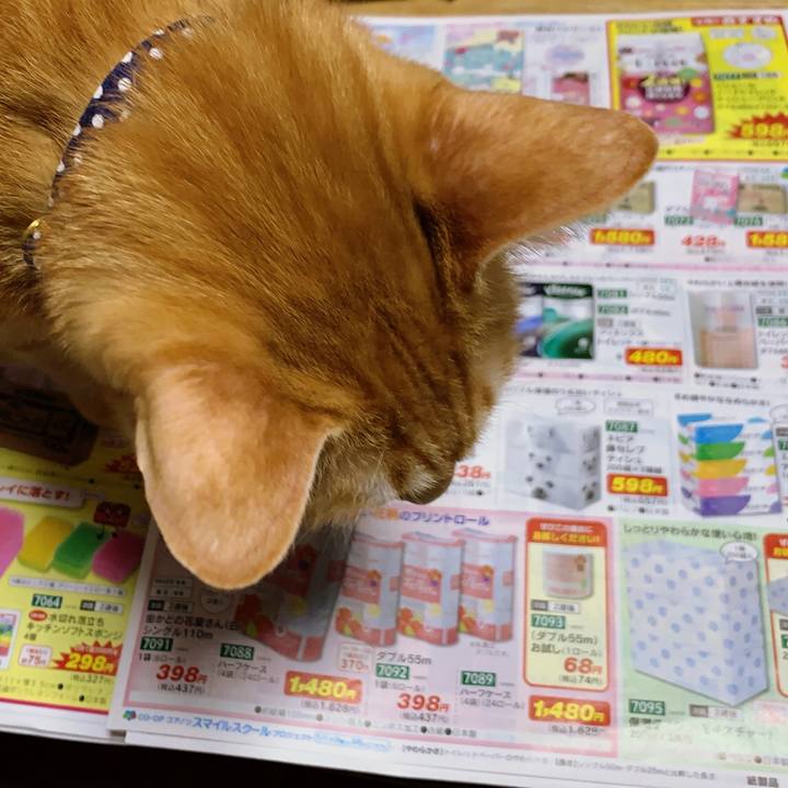 79541fad 0756 402b 968d 0f48c2c450e7 1582907402812