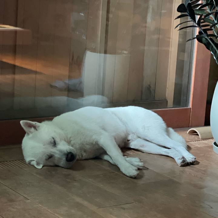 79542421 2182 45ac 9968 2d8ebf817345 1683897775256