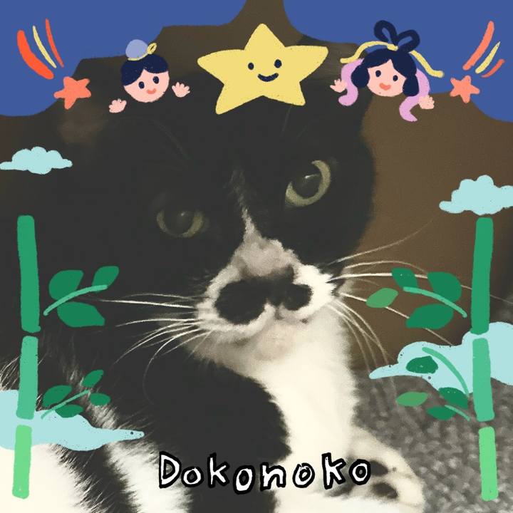 7954312f 5931 4903 b25a 7ed76f4b3c75 1720774137432