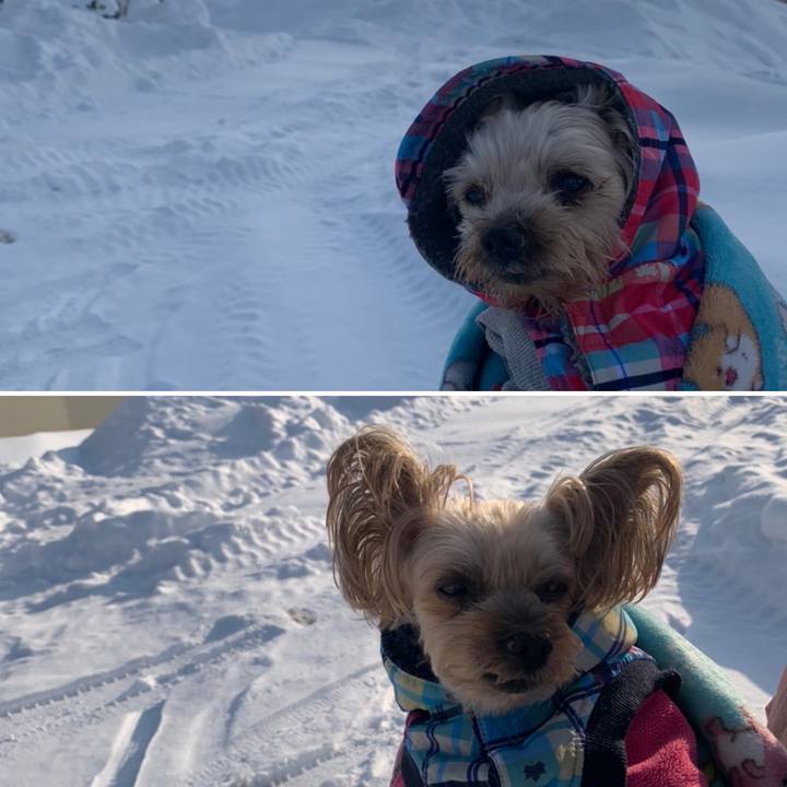 79547b96 cb8f 49dc b06e af53ff81fc32 1673603636057