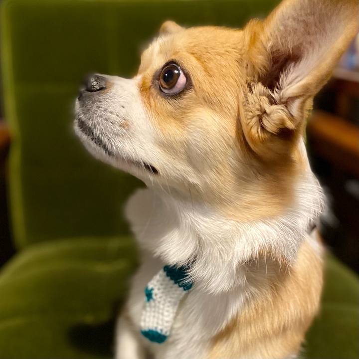 7954866b b286 47ed a655 e5e0506c7ed1 1608821451647