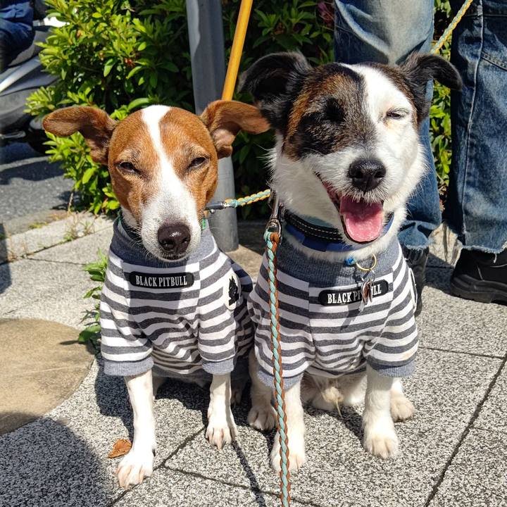 7954b386 c92a 4b03 baf3 38940807ad31 1715900721844